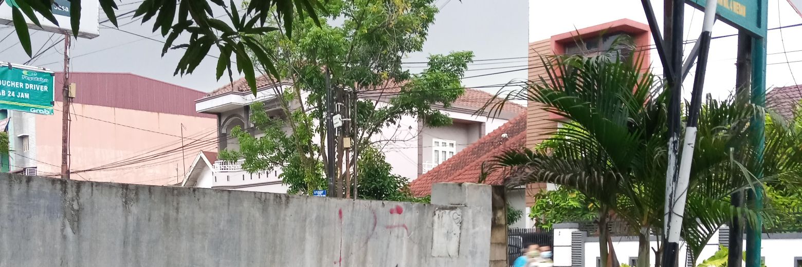 RinganRinganaja's profile banner image