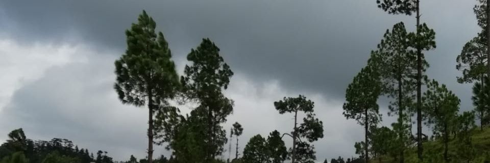 me_tiru's profile banner image