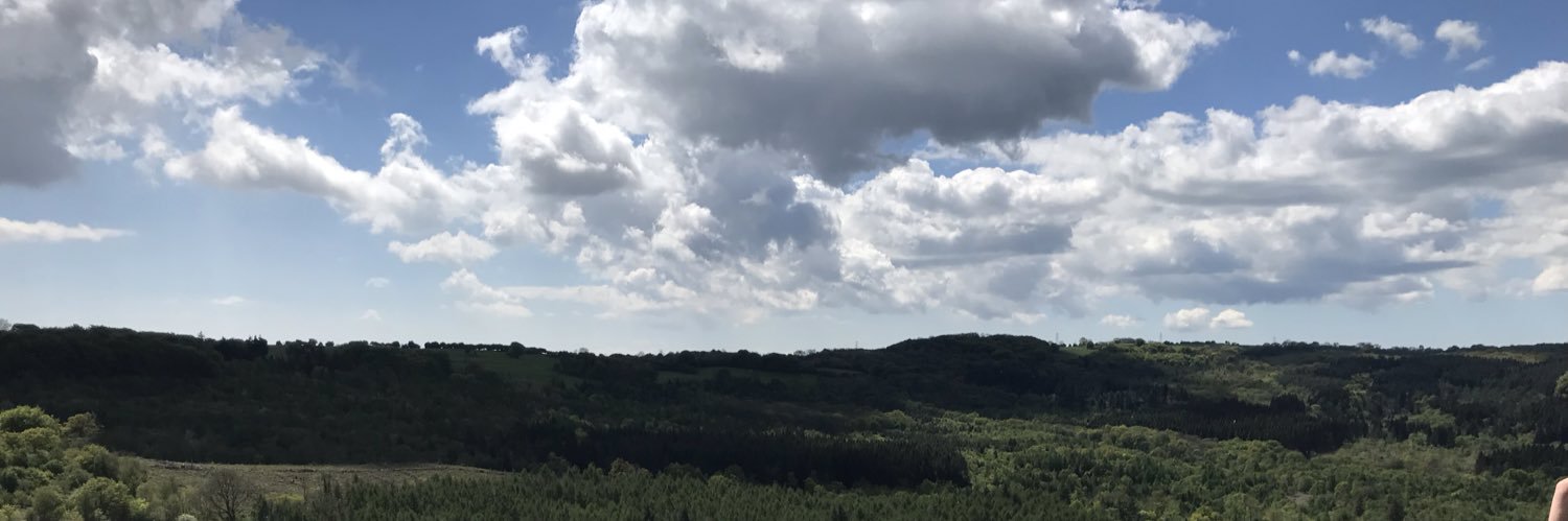 Charli Carroll banner