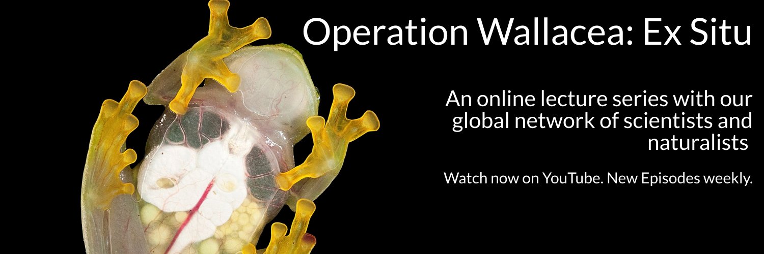 Operation Wallacea banner