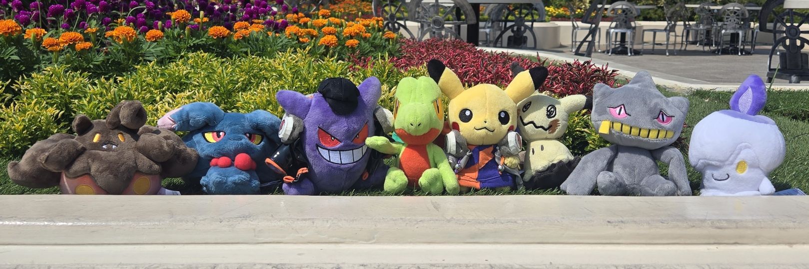 ふらあま️@関けも11 G-32 banner