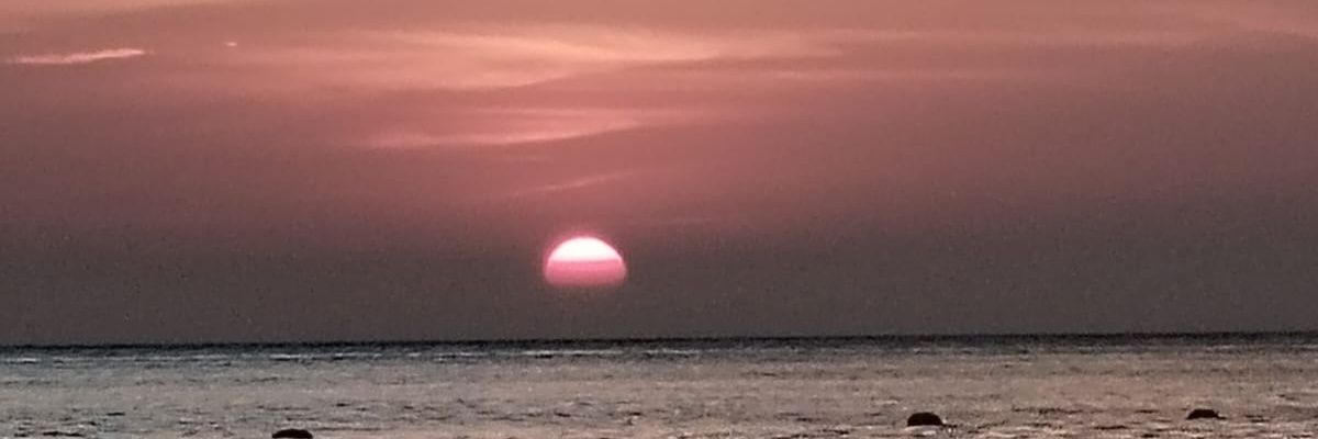 saribusi's profile banner image