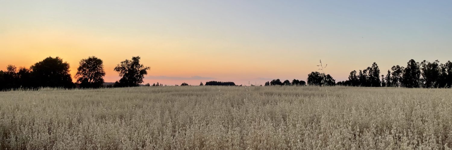 tribo79's profile banner image
