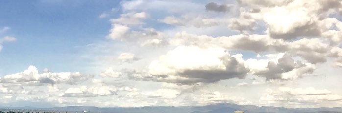 Surfactants Direct banner