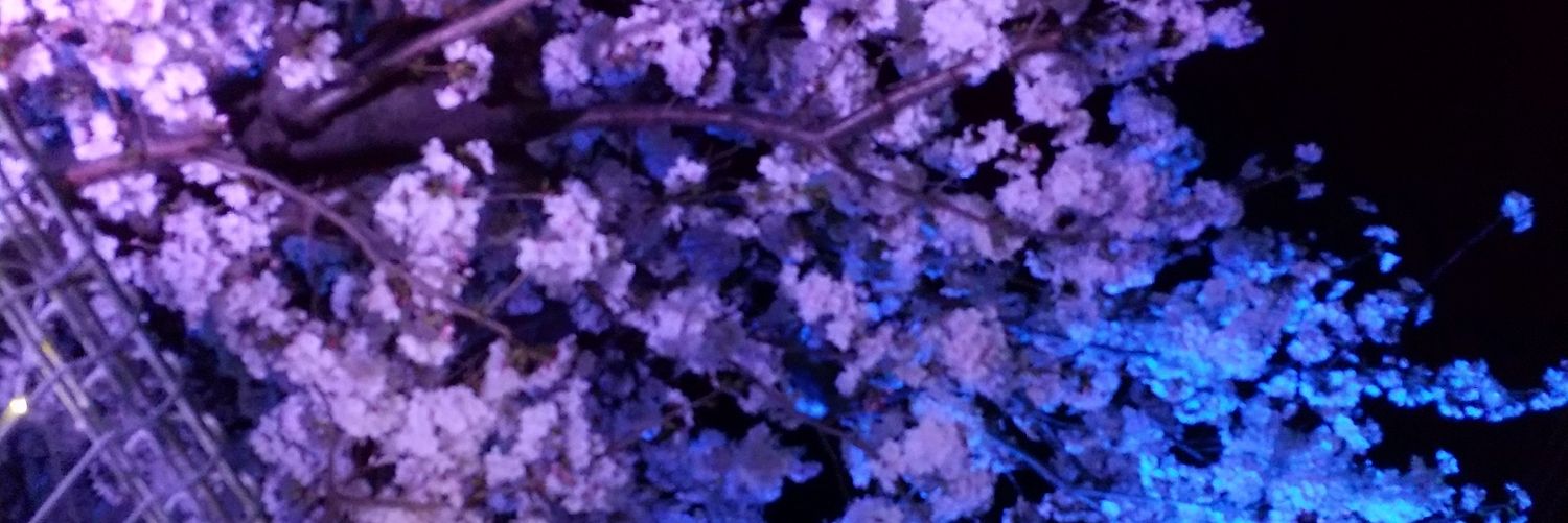 msma_7_23's profile banner image