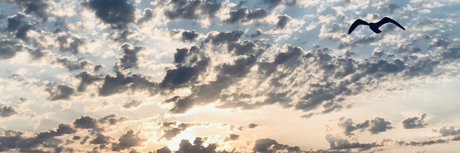 xC4Lx's profile banner image