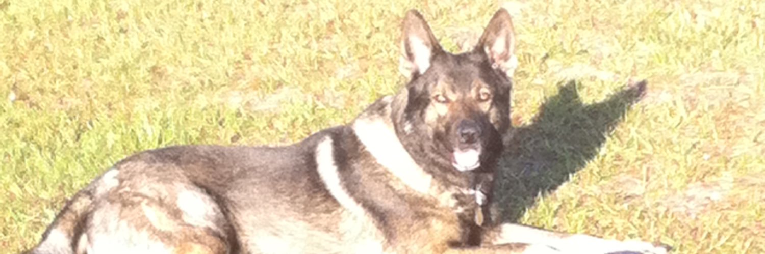 jpkiser's profile banner image