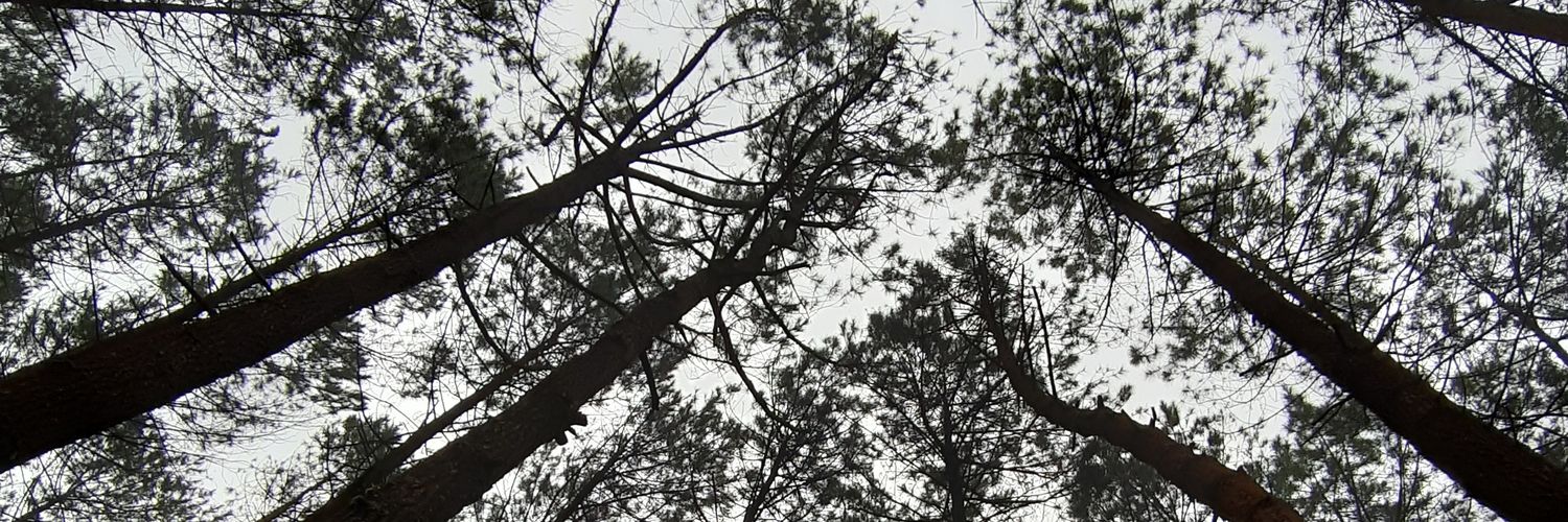 trombolninja_'s profile banner image