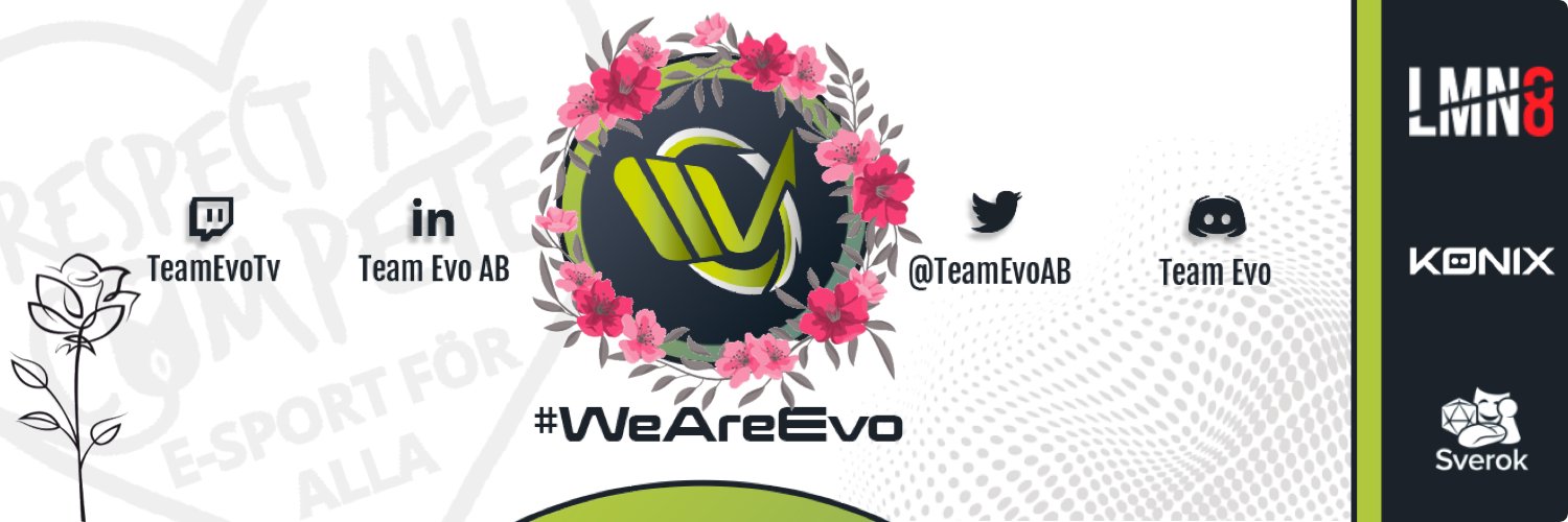 Team Evo banner