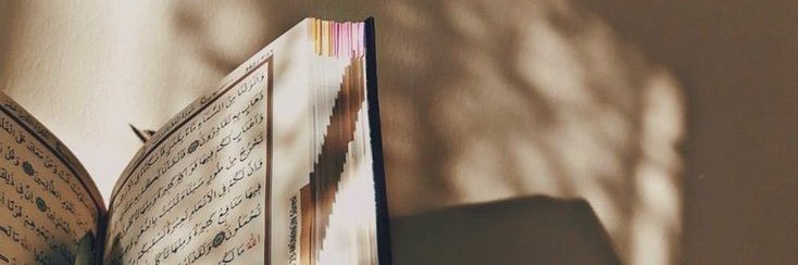 udhaa_'s profile banner image