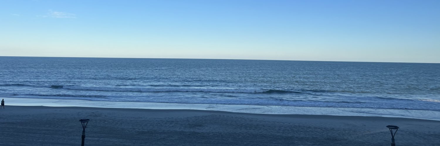 Sarah Smith banner