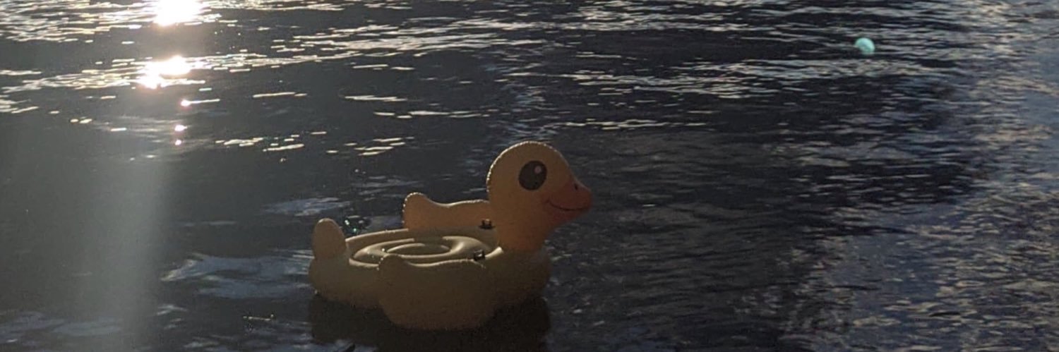 Brobassador's profile banner image