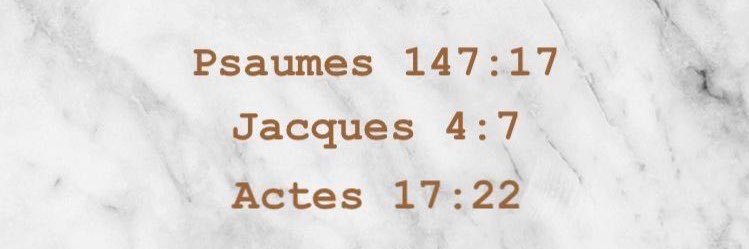 Frejus MONTCHO 🇧🇯 banner