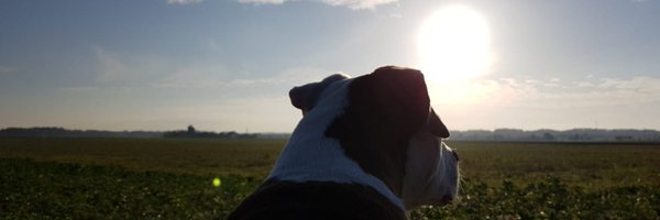 YveK22 Profile Banner