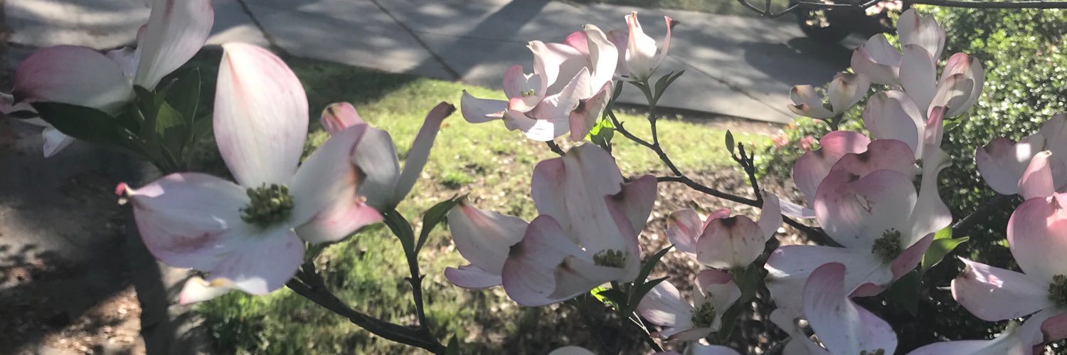 meredithdecker's profile banner image