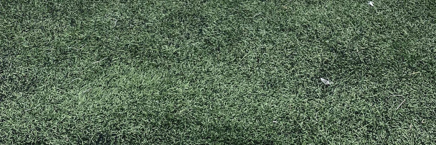 Leif Schanche banner