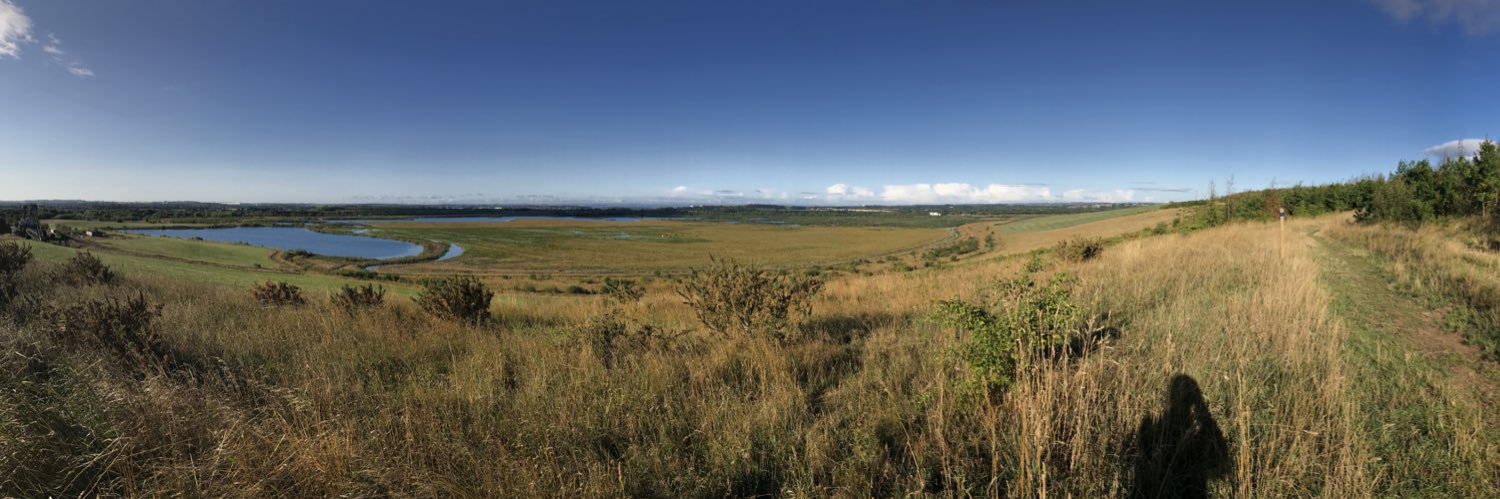 Swillington Ings Bird Group banner