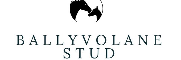 BallyvolaneStud Profile Banner