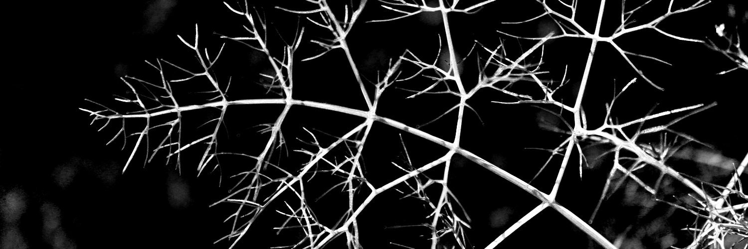 David J Marriott banner