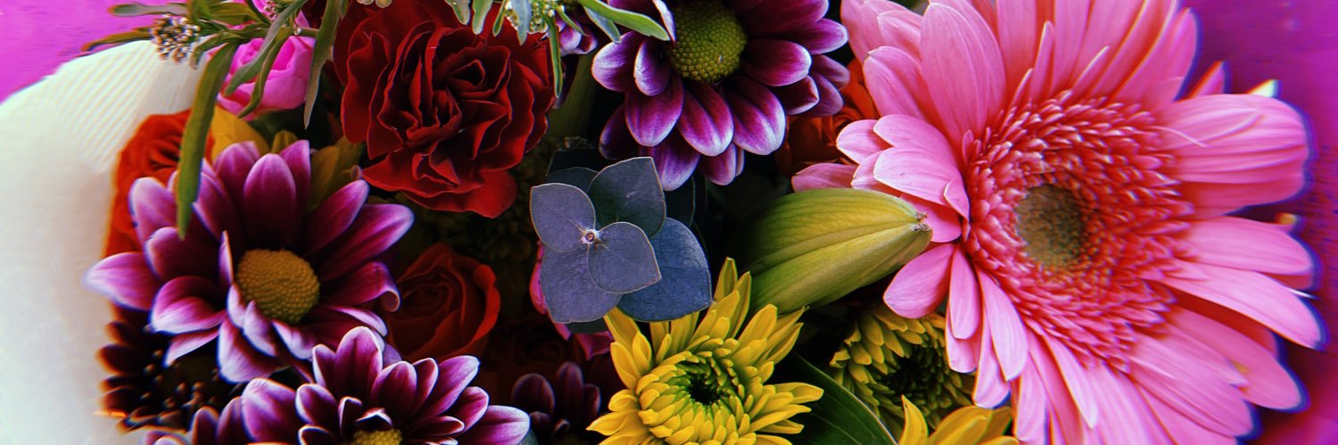 morgan_lynn23's profile banner image