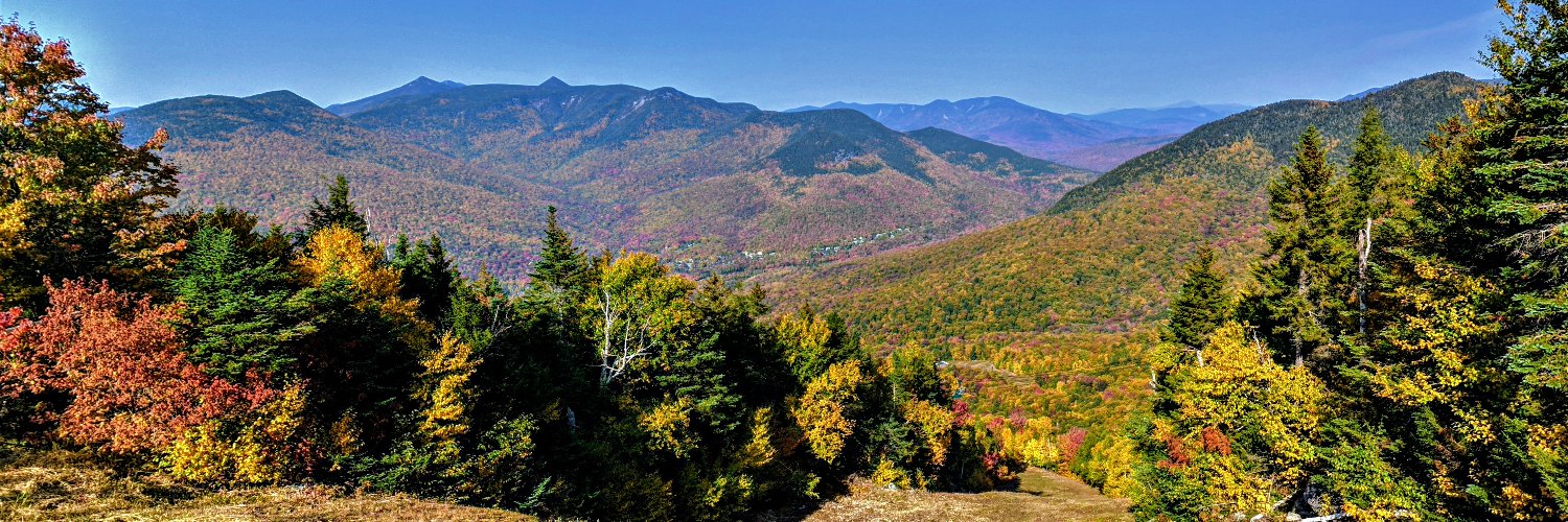 Andrew Butler🦊 banner