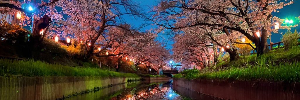 めぅめぅ banner