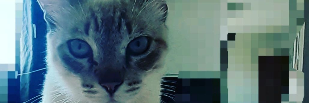 Andréa Simone😺 banner
