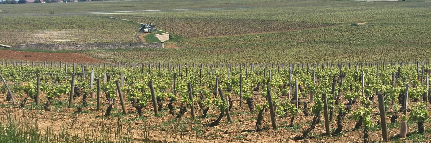 ぎんむぎこ banner