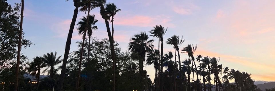 syaa☽̶☾ | ️️️kinda ia banner