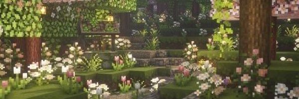 drdevorak4 Profile Banner