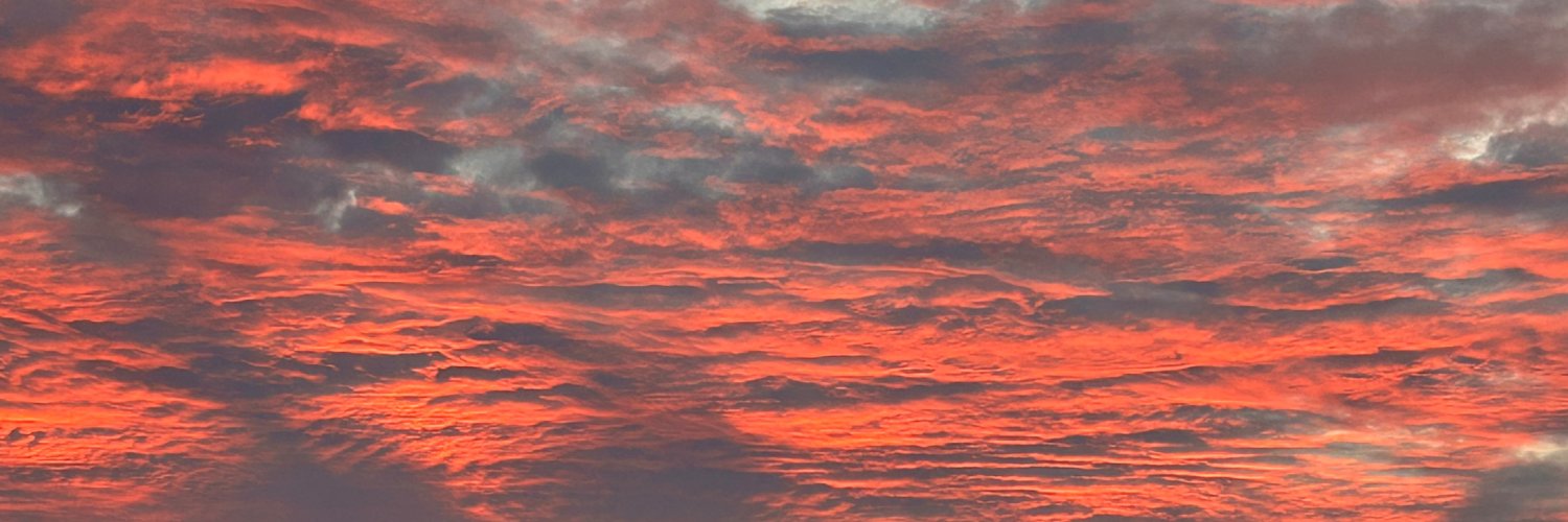 Brian Wrozek banner