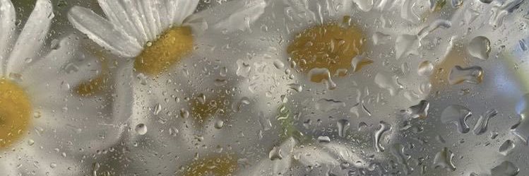 Mel_melnol's profile banner image