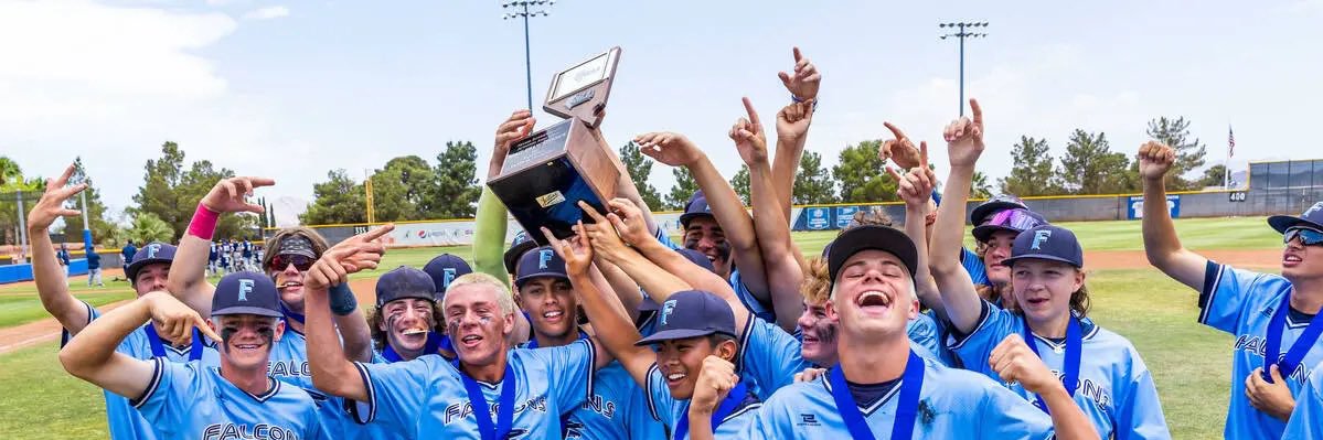 Foothill Falcon Baseball banner
