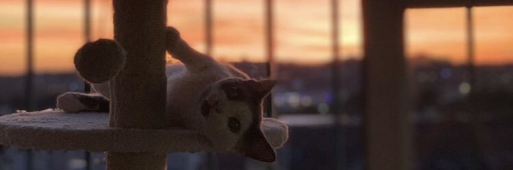 POLOFCM's profile banner image