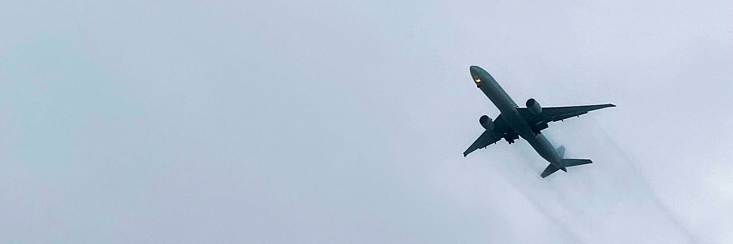 Denis is not a radish banner