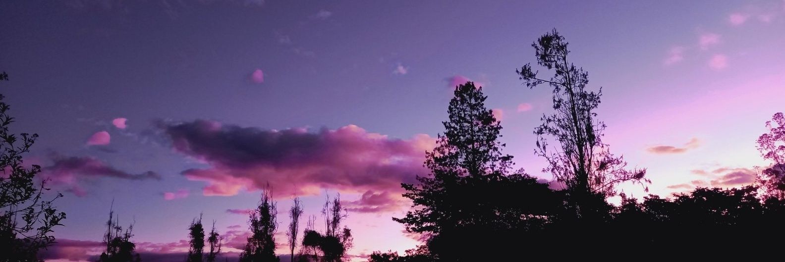 axyborja's profile banner image