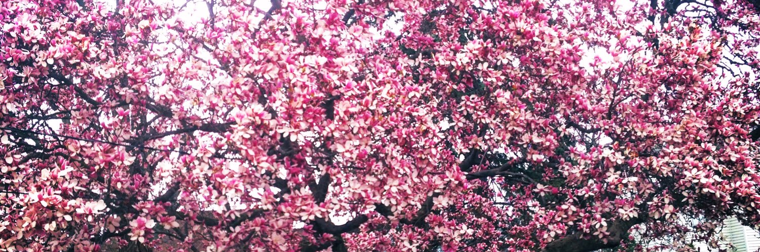 amberM_22's profile banner image