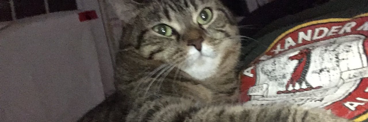 Joe Blastorah banner