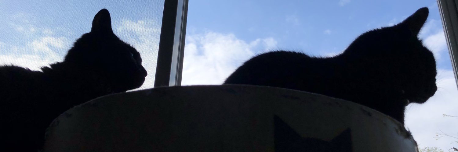 muna_yuki's profile banner image