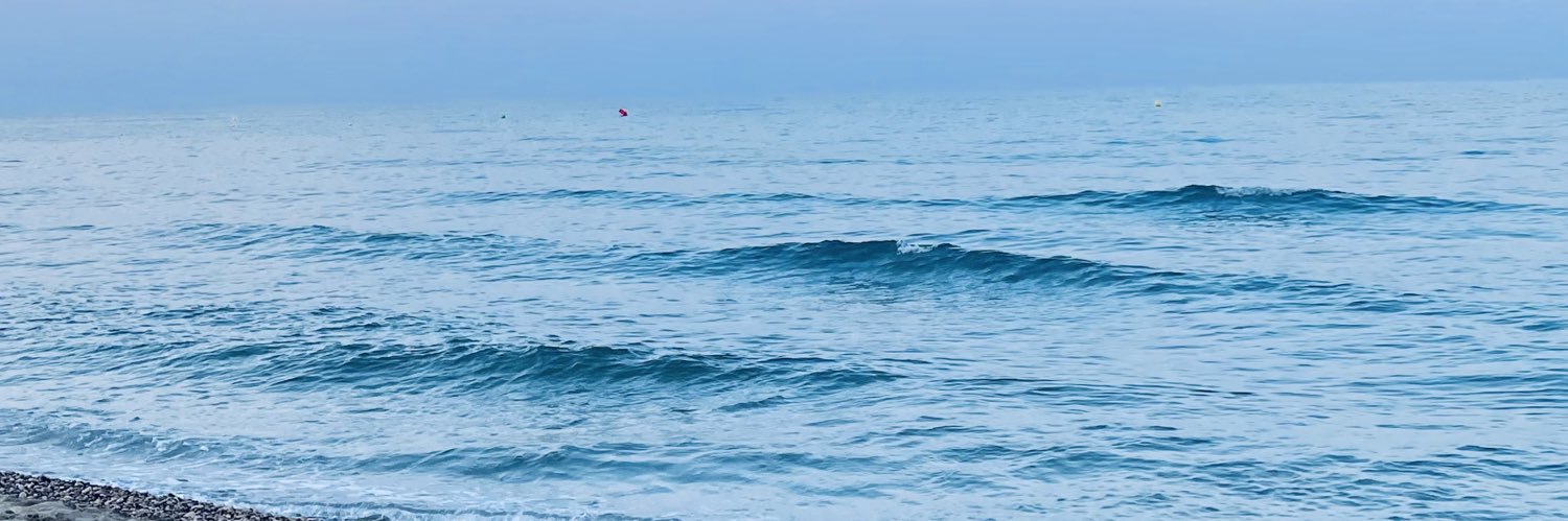 Neeereea_'s profile banner image
