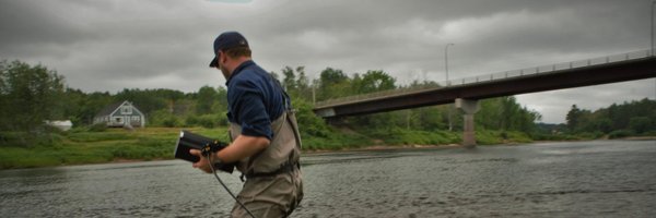 UNBsalmon Profile Banner