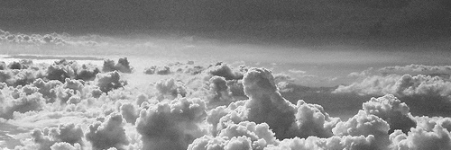 SwedishPanda206's profile banner image