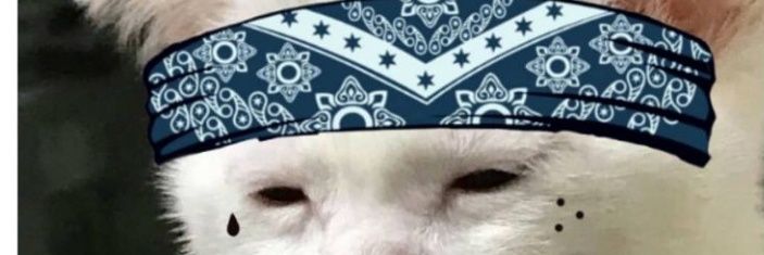jmanwrecks's profile banner image