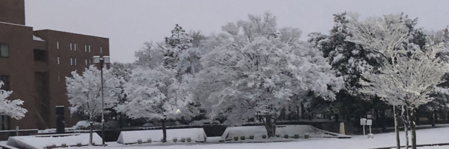 zottenn's profile banner image