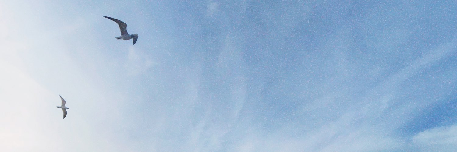 GinaMoros's profile banner image