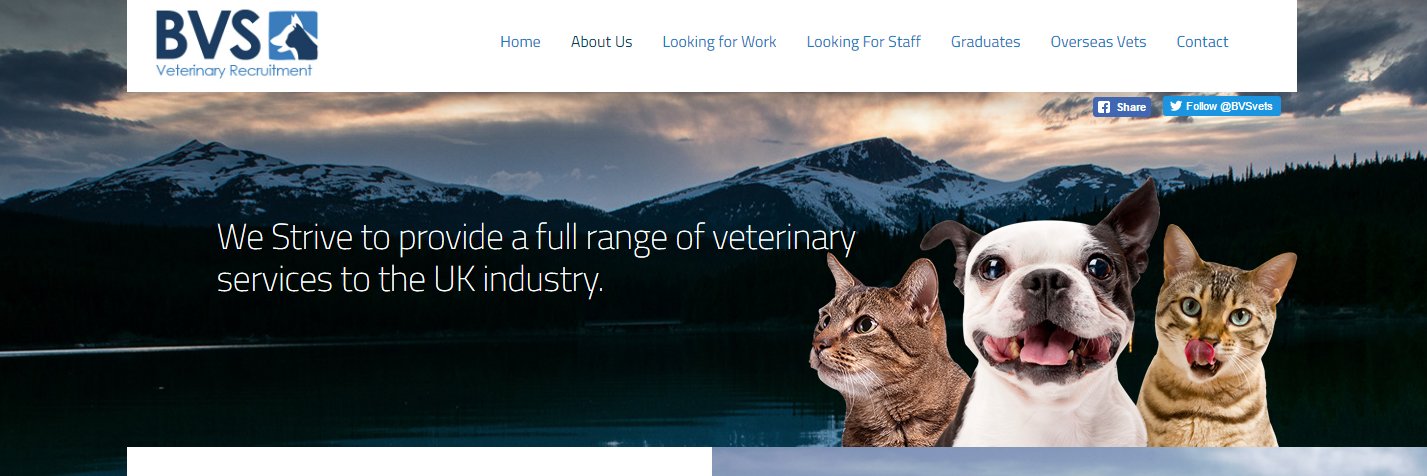 BVSvets's profile banner image