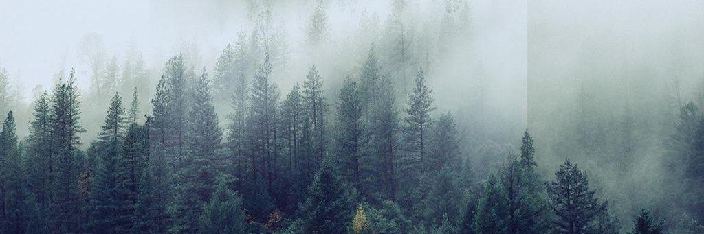 Victress12's profile banner image