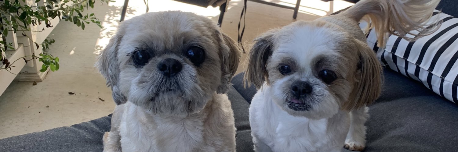 Addison Hunsicker banner