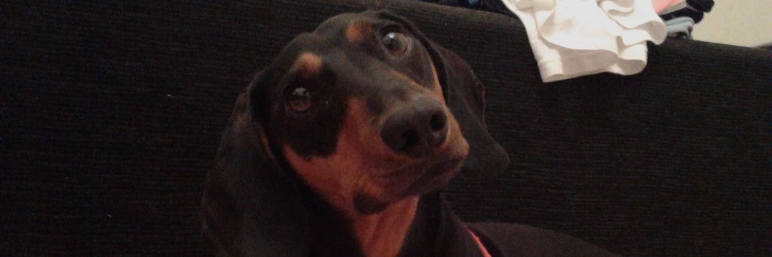 Juli Gazzaniga banner