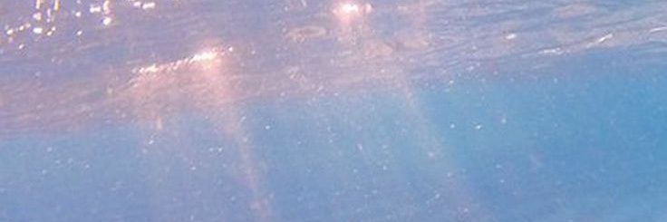 CathyCarriel's profile banner image